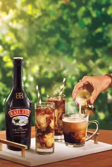 The Baileys Range