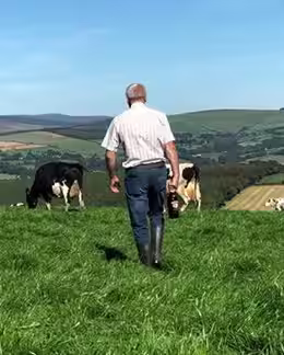 Baileys History image